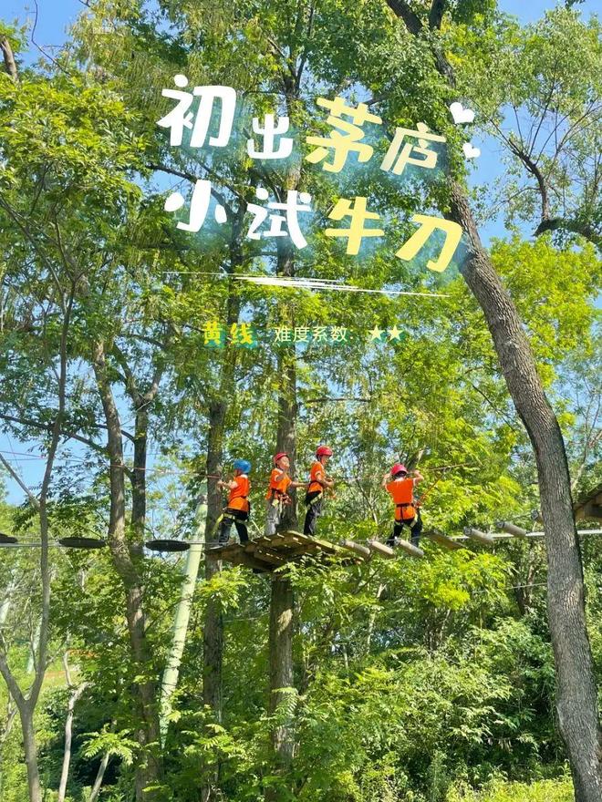 春游江淮｜琅琊山全民推荐官招募现金大奖等你拿